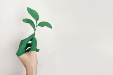 Sustainability