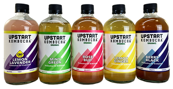 Upstart Kombucha